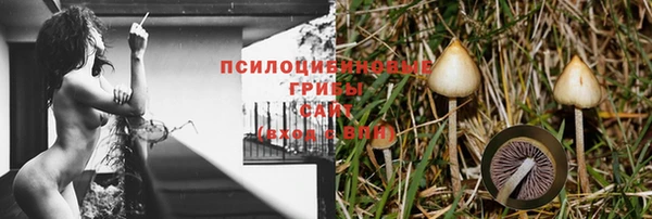 mdpv Балабаново
