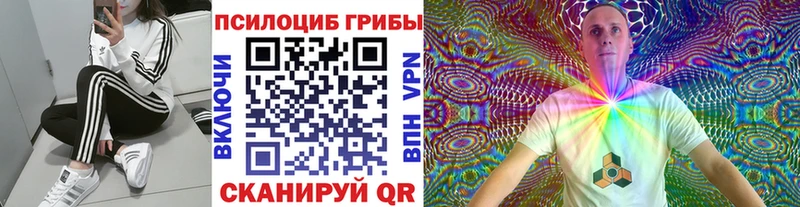 Галлюциногенные грибы MAGIC MUSHROOMS  где можно купить наркотик  Малоархангельск 